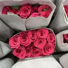 ورد جمله