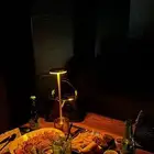 تدريب العماله على الطبخ