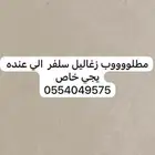 مطلوب زغاليل سلفر