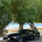 موستنق الموديل 2013