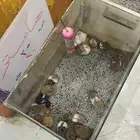 جوال ايفون 12 برو ماكس (بحفر الباطن بكره)