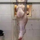 ذبايح لبيع مع السلخ والتوصيل حري ذبائح مناسبات عقيقه ثلاجه