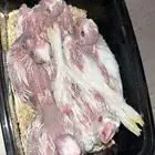 كراون البينو عيون حمر