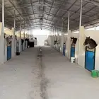 اسطبل و ايواء خيل وتصوير بالرياض
