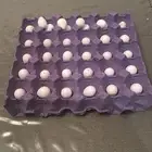 طبق بيض بوب وايت سمان أمريكي