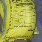 برسيم حجازي