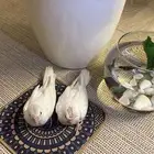 فروخ كروان البينو