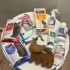 قطط مستلزمات