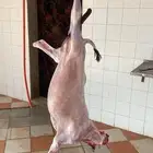 تيوس وجفرات