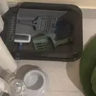 سكوتش فولد انثى للبيع