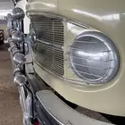 سقس بوز