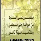 زيت زيتون فلسطيني