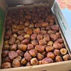 رطب سكري