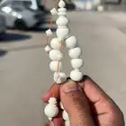 مسباح دومنة