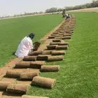 نجيل طبيعي