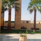 شغل النخيل كل ما يلزم من تكريب وتحويض وتنضيف وغرس فصايل