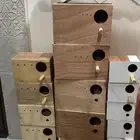 بياضات حق طيور