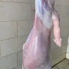 ذبايح القصيم