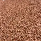 خرصان مرو حصم جميع الأنواع