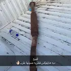 دبه