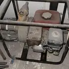 القطيف