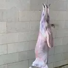 ذبايح القصيم