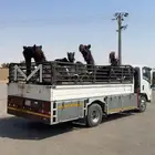 دنه ونش مشاوير