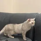 ماله اسم عمره ثلاث شهور ذكر