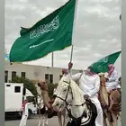 تاجير خيول عربيه وابل هجن اصيله محترفين في المجال