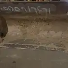 شيول للايجار اليومي والشهري