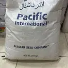 بذر برسيم اصلي