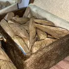 عود مروكي دبل سوبر