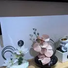 باقات ورد زهور السنديان