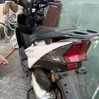 دباب عجيب الوسام