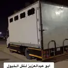 دينا خيل
