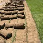 نجيل طبيعي