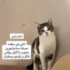 تبني