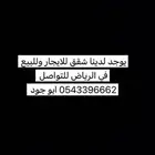 شقة للايجار حي الملقا