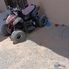 دباب مقاس50