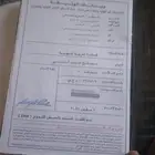 فرس قفز ثروبرد