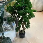 شجر صنايع اي مناطق