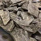 عود كلمنتان