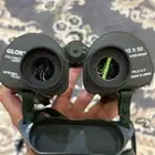 دربيل جلوري إنجليزي الاصلي 10 50