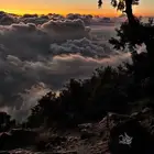 مصاحف مجانية