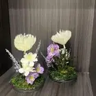 اغراض استقبال ولاده