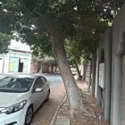 غرفة للايجار في ام العراد عند محطة المورد