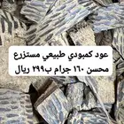 عروض ومزادات الطيب.