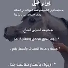 متابعة خيل التشبيه ( لدى العيادات البيطرية في الاحساء)
