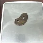 عود موروكي ملكي