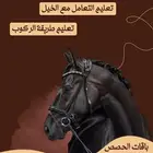 تدريب خيل